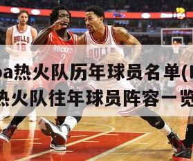 nba热火队历年球员名单(NBA热火队往年球员阵容一览)